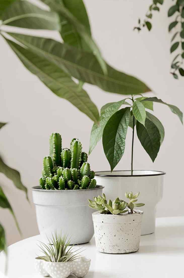 https://melbourneuniqeconstruction.com.au/wp-content/uploads/2019/10/inner_quote.jpg
